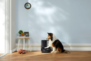 Comment choisir un aspirateur pour poil de chien