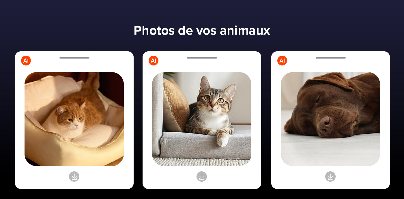 This is a image