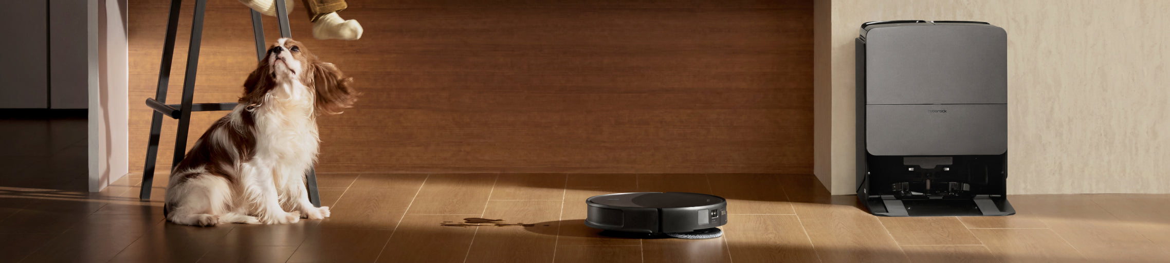 Robots Aspirateurs