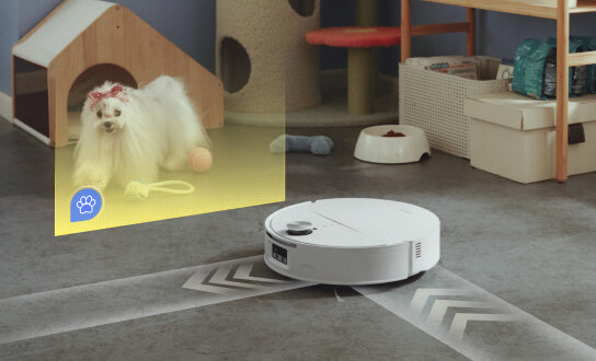 Reconnaissance automatique de vos animaux