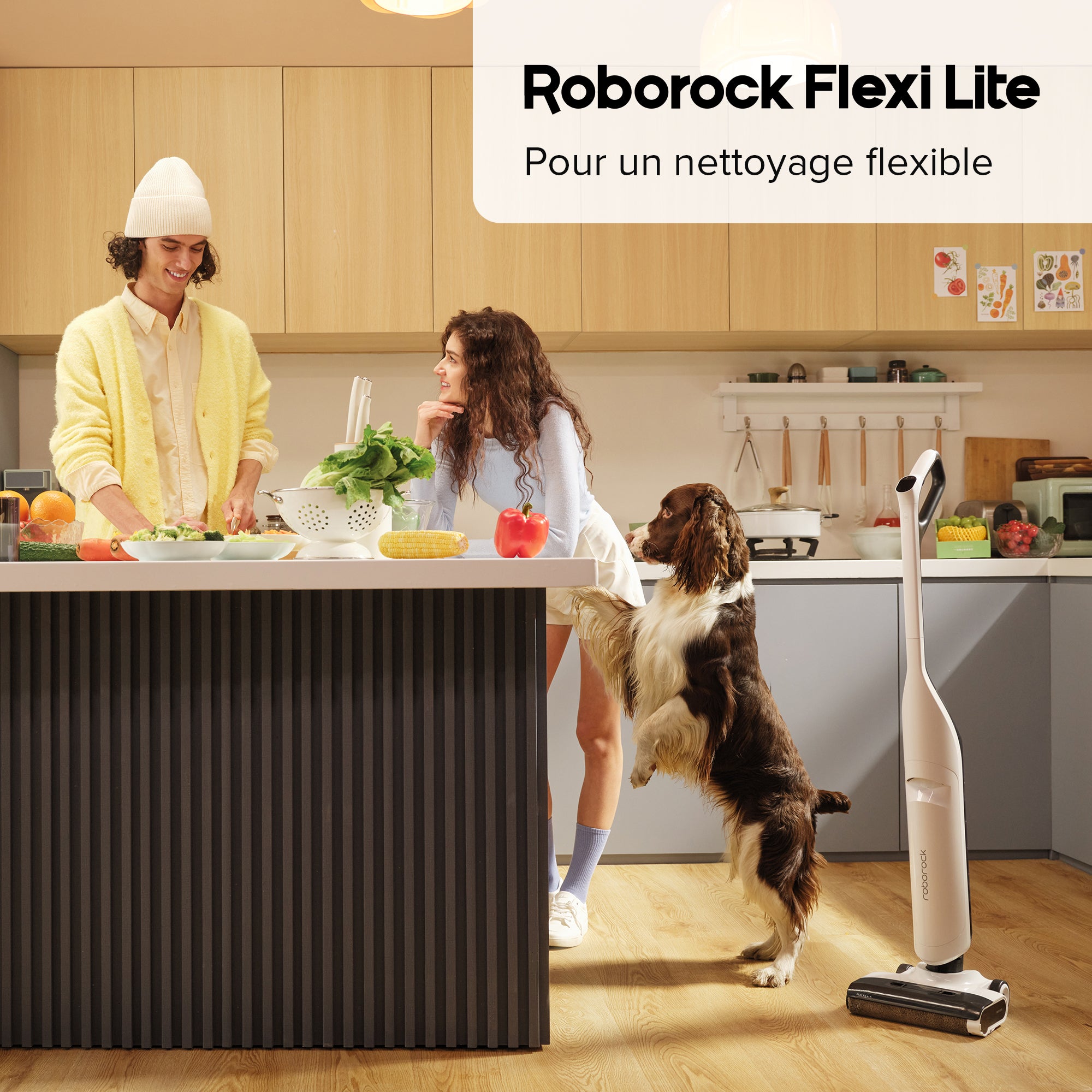 roborock_flexilite__fr__A_4.jpg?v=1720148829